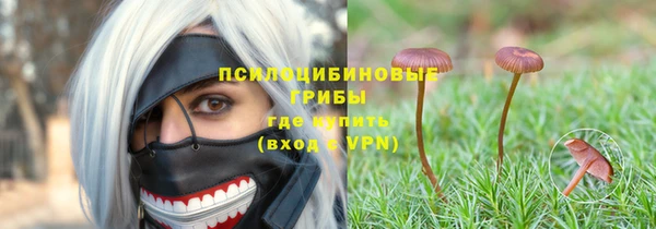 стаф Абдулино