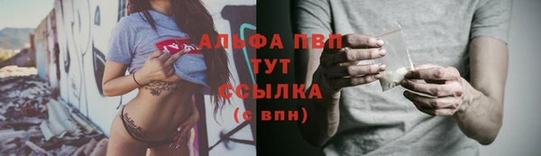крисы Алзамай