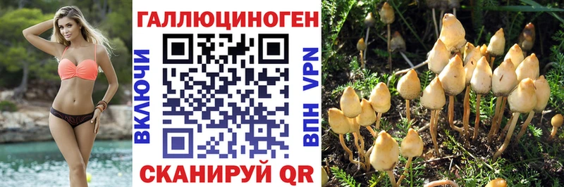 Псилоцибиновые грибы GOLDEN TEACHER  Новоалександровск 